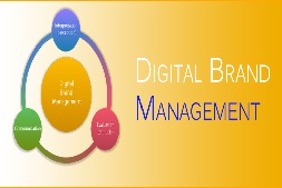 digital-brand-management-with-ibrandox