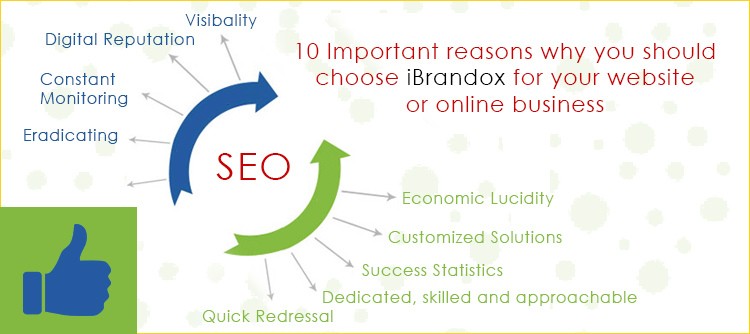 10-important-reasons-why-you-should-choose-ibrandox-for-your-website-or-online-business