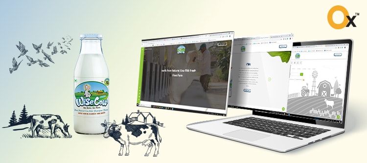 wise-cow-website-development-project-successfully-delivered-by-ibrandox