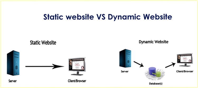 static-website-design-versus-dynamic-website-design