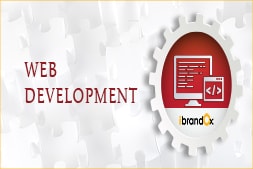 why-should-you-stay-away-from-free-website-development-software