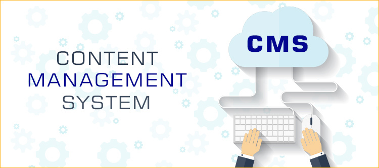ウェブサイト開発における CMS の役割