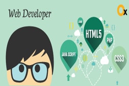 why-a-website-does-needs-a-website-developer