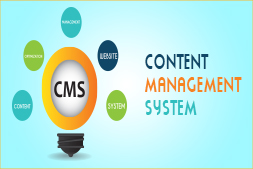 do-i-need-Technical-Knowledge-to-use-cms-website