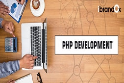 what-makes-ibrandox-best-php-web-development-company