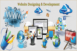 difference-between-website-designing-and-web-development-ibrandox