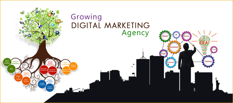 ibrandox-creciente-agencia-de-marketing-digital-en-gurgaon