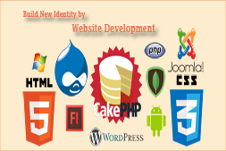 ibrandox-website-development-company-in-india