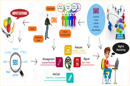 التوظيف في ibrandox-digital-marketing Agency-in-gurgaon