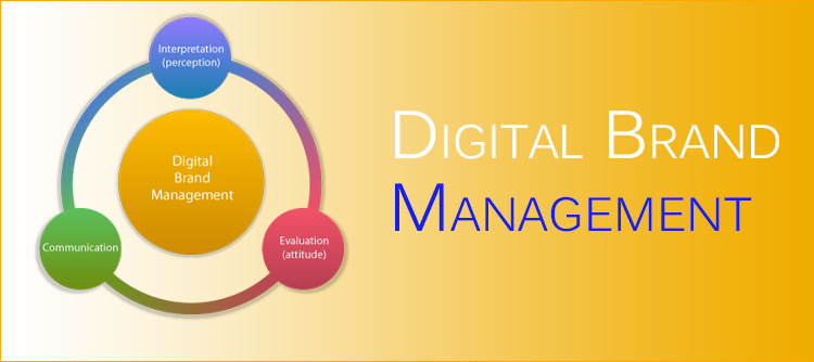 digital-brand-management-with-ibrandox