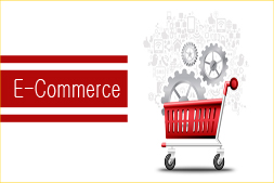 how-ibrandox-can-help-newcomers-in-the-e-commerce-space
