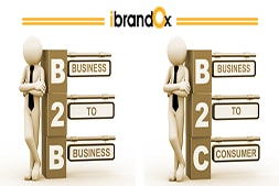 کیا ہے- b2b اور b2c-ویب سائٹ-جس-کی-ویب سائٹ-کو-جانا چاہئے