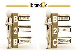 what-is-b2b-and-b2c-website-which-website-should-i-go-for