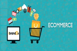 ecommerce-trends-in-2016-and-how-ibrandox-can-aid-you