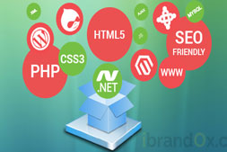 web-development-company-in-gurgaon