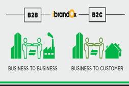 b2b اور b2c- ویب سائٹ کے درمیان کیا فرق ہے