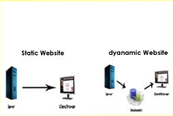 static-website-design-versus-dynamic-website-design