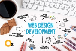 5-recent-website-development-projects-by-ibrandox