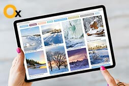 make-your-portfolio-shine-in-the-market