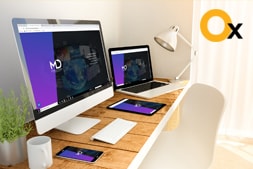 md-consulting-s-b2b-website-development-by-ibrandox-development-team