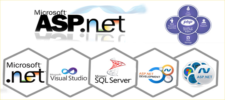 Programación PHP y Programación ASP Dot Net: Desarrollo de Sitios Web php-programming-and-asp-dot-net-programming-website-desarrollo