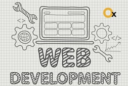 professional-web-development-services