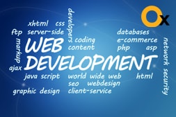 what-to-look-for-while-hiring-a-website-development-company-for-your-business