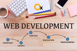 what-you-need-to-consider-while-developing-a-website
