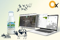 wise-cow-website-development-project-successfully-delivered-by-ibrandox