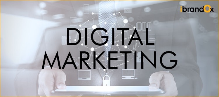 no-results-no-pay-to-ibrandox-result-driven-digital-marketing-agency