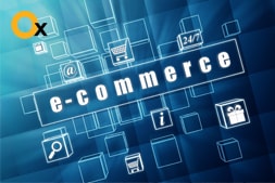 qualities-to-look-for-in-an-ecommerce-website-development-company