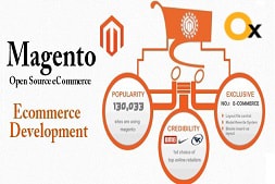 why-it-is-advisable-to-hire-top-magento-developers-for-your-website