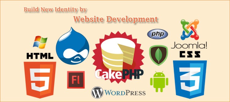 ibrandox-website-development-company-in-india