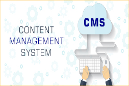 role-of-cms-in-website-development