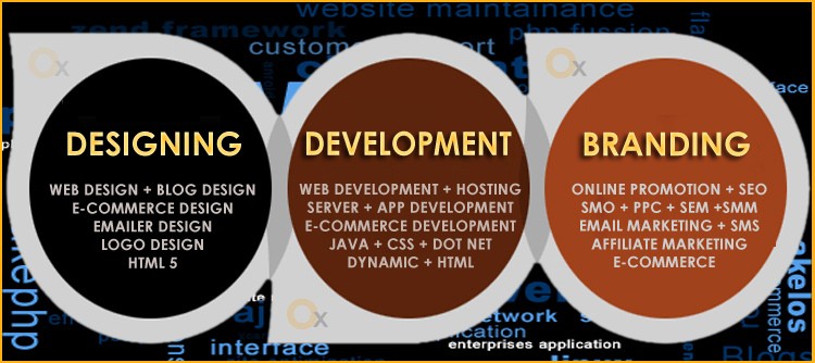 tips-for-choosing-the-best-website-designing-company