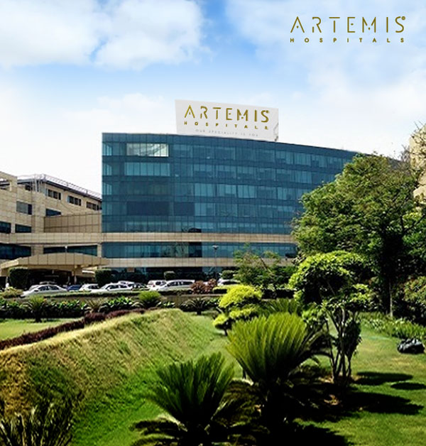Artemis Hospitals.com