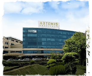Artemis