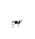 فريسكو